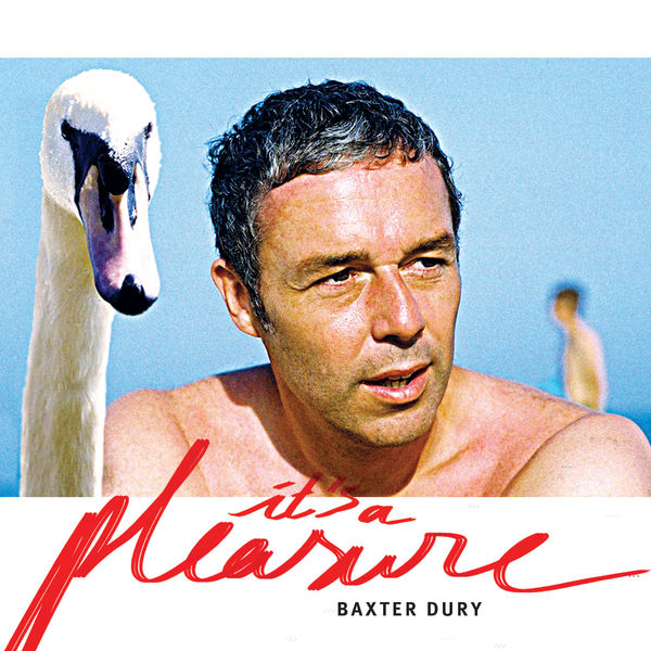 Baxter Dury "It's a Pleasure"