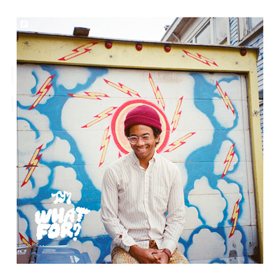 Toro Y Moi "What For?"