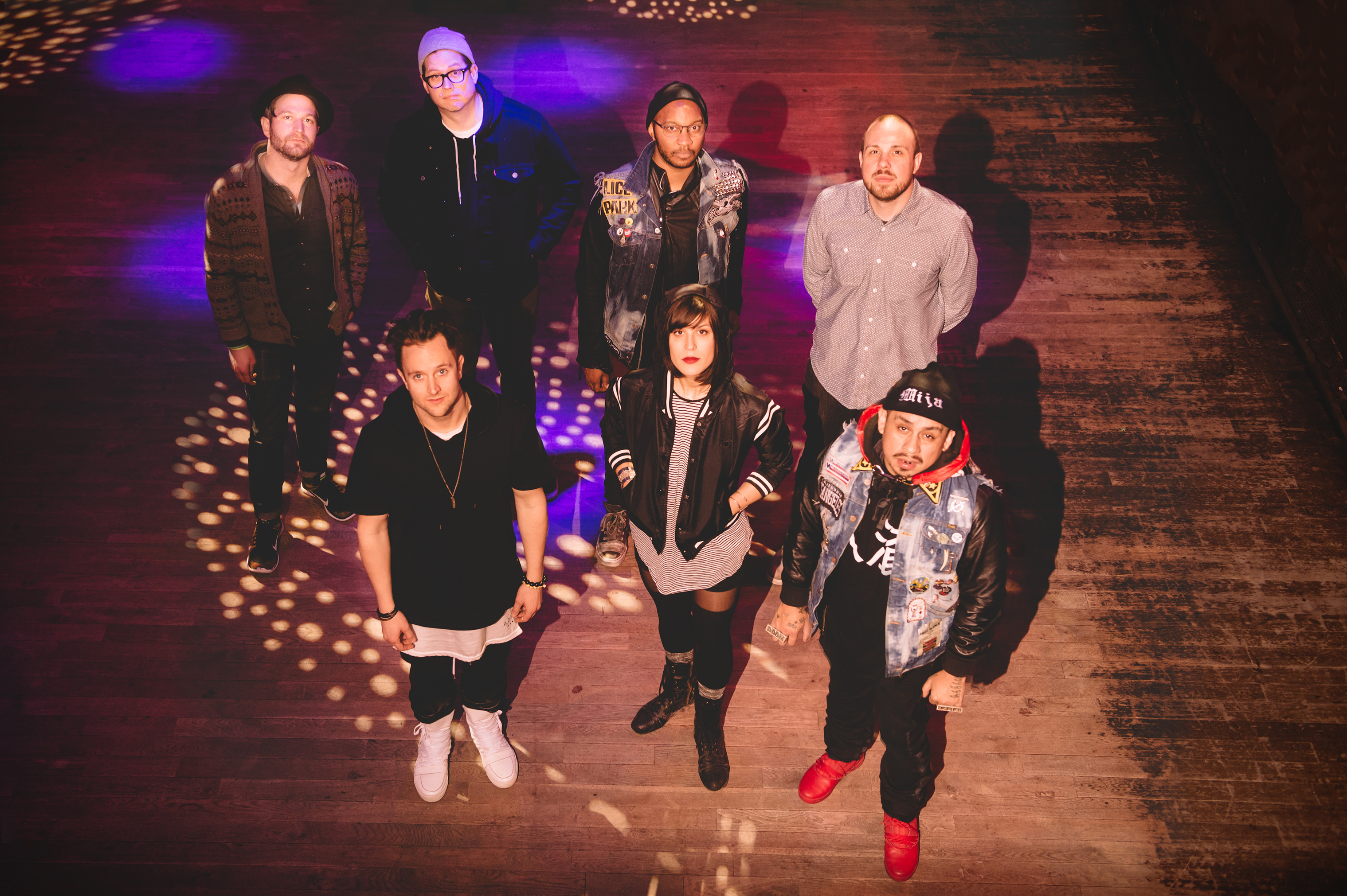 Doomtree by Chad Kamenshine