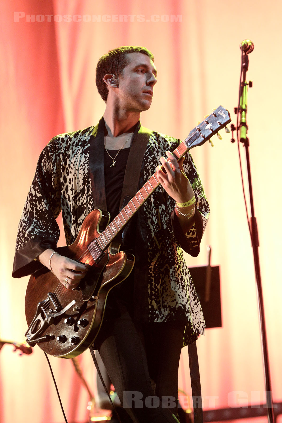 The Last Shadow Puppets au festival Rock en Seine par Robert Gil ©